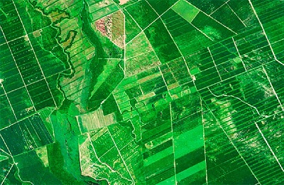 Monitoreo imagen satelital para el agro   