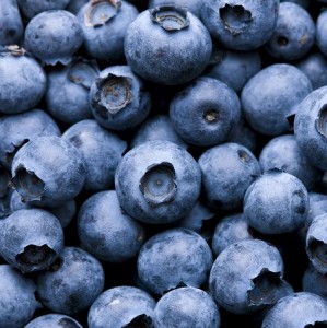 bbblueberries