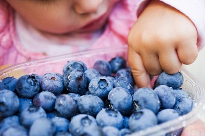 child-eating-blueberries-al
