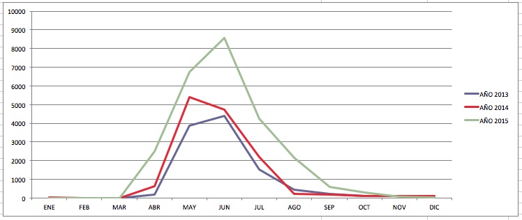 graficonuez