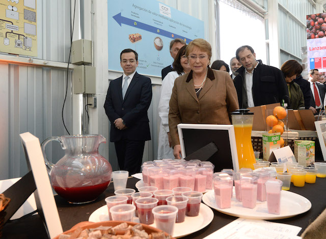 presidenta2