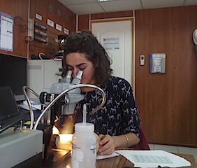 LAb-Fosfoquim
