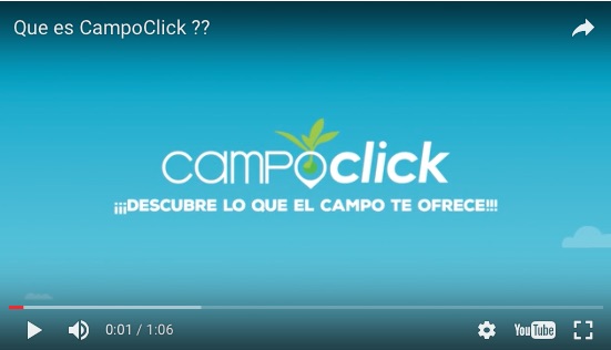 campoclick3