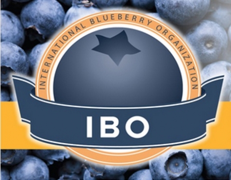 ibo2016