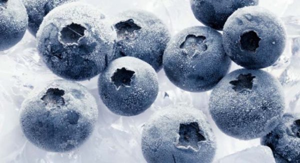 arandanoscongelados