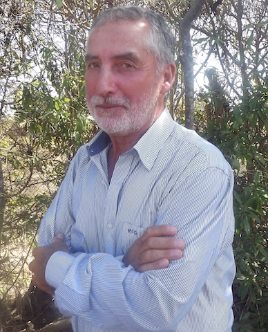 segundovaron