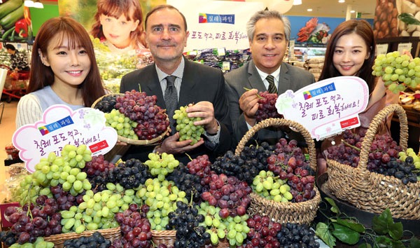 corea-uvas2