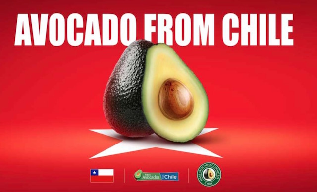 paltadeChile