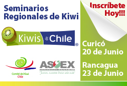 SEMINARIOKIWI2017