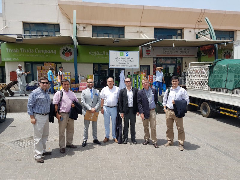 Dubai-arandanos4
