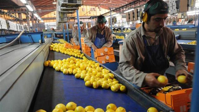 LimonArgentina
