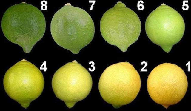 tablacolorlimonArgentina