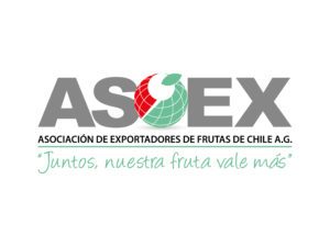 logo-ASOEX