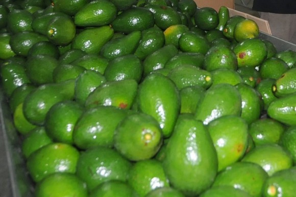 frutas-dominicanas
