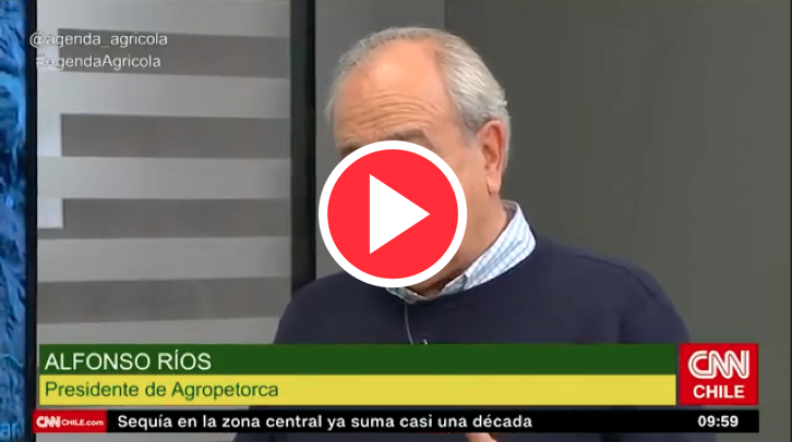 Paltas-AgendaAgricola