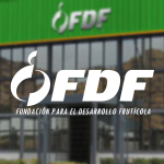 4-FDF