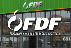 fdf 2