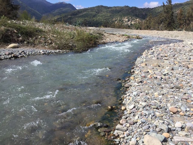 Estero Codegua