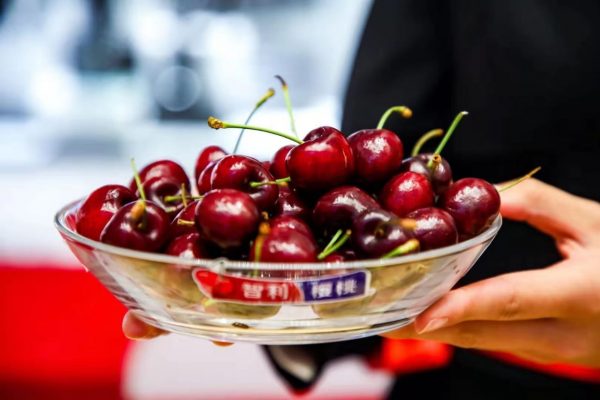 Cereza es el segundo producto más exportado por Chile a China entre enero y febrero de 2022