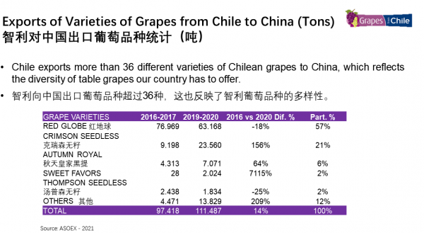 Uvas chilenas mantienen liderazgo en el mercado chino con más de 36 variedades