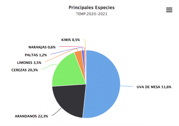 Chile pierde más de un 8% en la exportación de fruta fresca