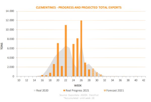 Cítricos chilenos: fuerte temporada de exportación a nivel mundial, destaca China