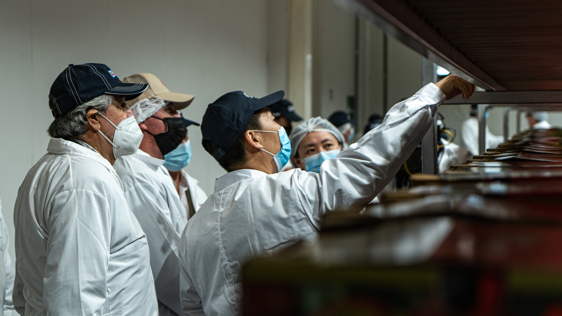 Industria de cerezas chilenas da inicio a la temporada 2021-2022