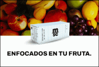 MSC