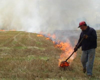 Conaf prohíbe quemas agrícolas o forestales en seis regiones del país