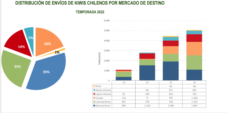 Avance de temporada de kiwis chilenos: se han enviado 15.175 toneladas