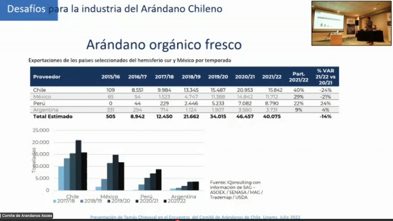 Comité de Arándanos de Chile-ASOEX analiza los desafíos para la industria
