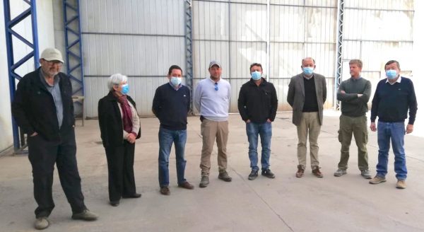 Avanzan gestiones para contar con un sitio de inspección en Atacama para uva de mesa de exportación
