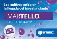 Martelo-Anasac-Agosto-2023