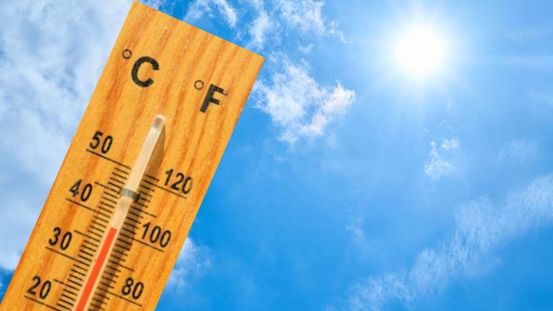 Pronostico Meteochile para esta semana Temperaturas maximas sobre lo normal entre Maule y Los Lagos. Probables lluvias debiles en Los Rios y Los Lagos Simfruit
