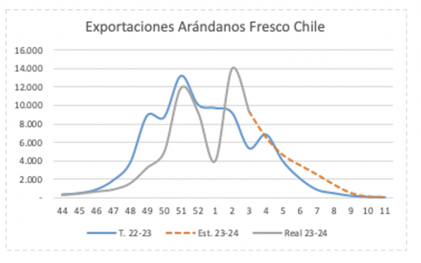 Exportaciones de arándano chileno